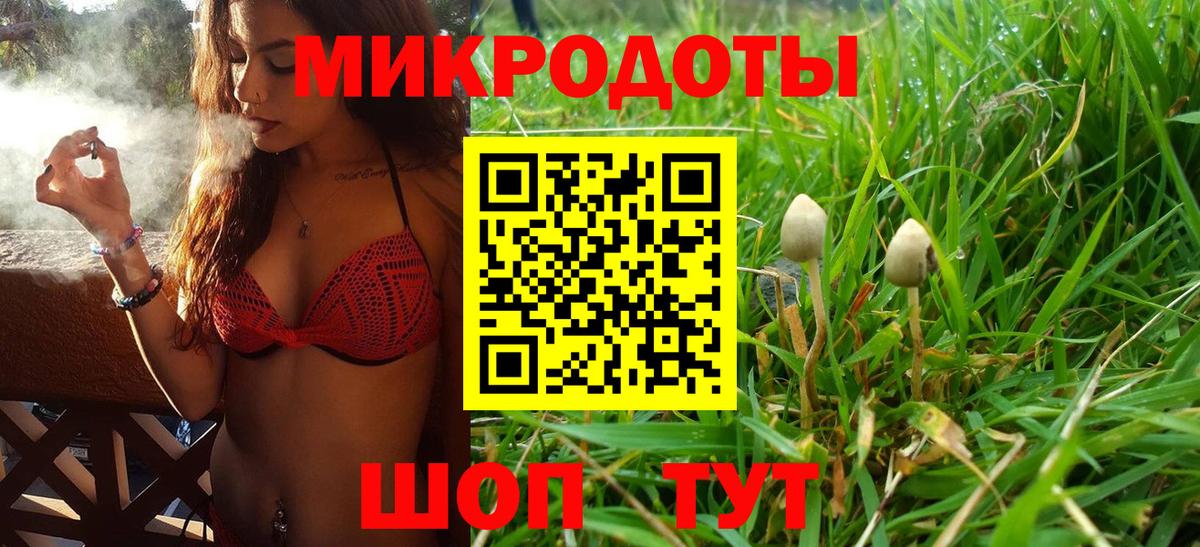 Лениногорск  Галлюциногенные грибы Cubensis  Вход с VPN  Галлюциногенные грибы прущие грибы 